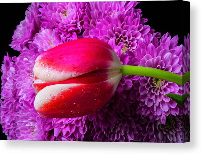 Leaf Canvas Print featuring the photograph Tulip And Pompons by Garry Gay