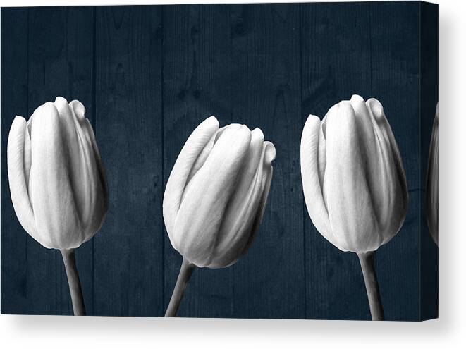 Tulip Canvas Print featuring the photograph Tulips And Wood by Johanna Hurmerinta