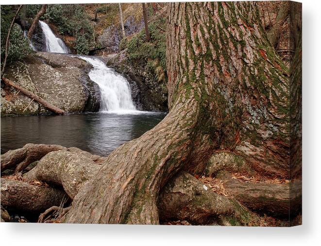 Color Canvas Print featuring the photograph Tumbling Waters by Dawn J Benko