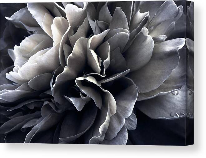 Flower Canvas Print featuring the photograph Turbulence by Darlene Kwiatkowski