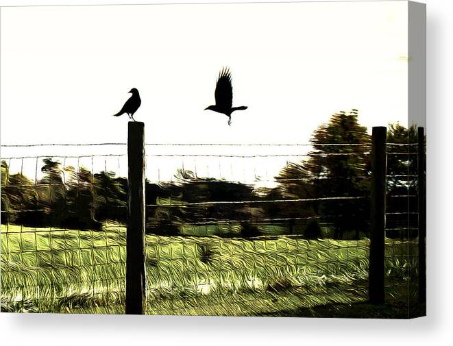 Bird Canvas Print featuring the photograph Two Birds by Carlee Ojeda