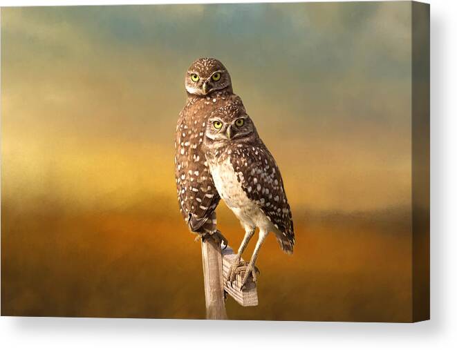 Owl Canvas Print featuring the photograph Two Of Us by Kim Hojnacki