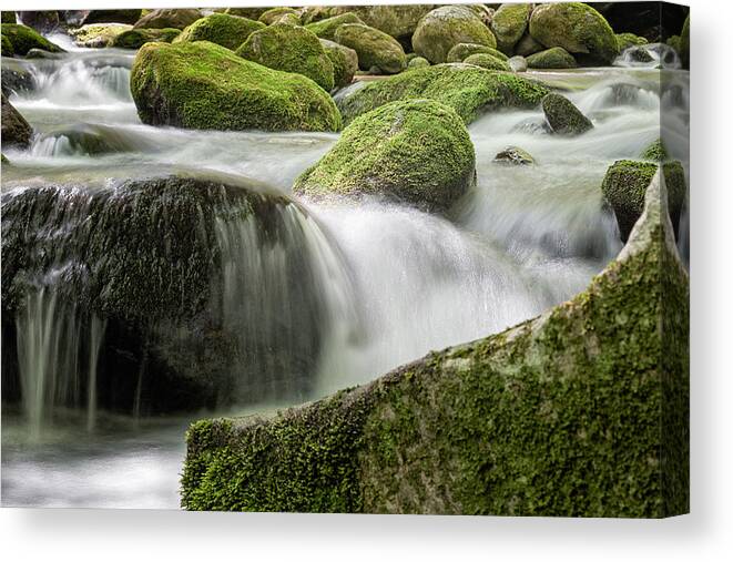 Water Flow Canvas Print featuring the photograph Two Paths Same Destination by Jeff Abrahamson