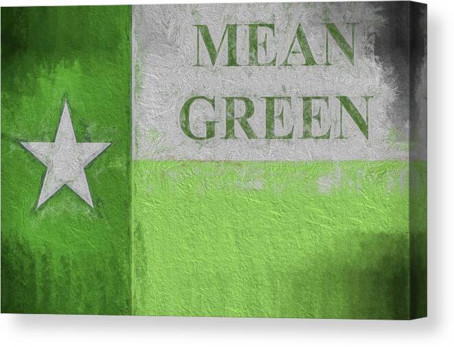 University Of North Texas Canvas Print featuring the digital art University of North Texas Mean Green Flag by JC Findley