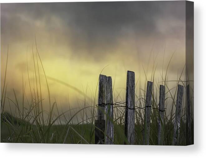 Skies Canvas Print featuring the photograph Unperturbed by Mary Clough