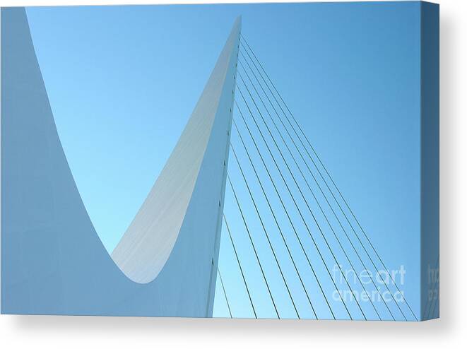 Abstract Canvas Print featuring the photograph Grace by Dean Birinyi