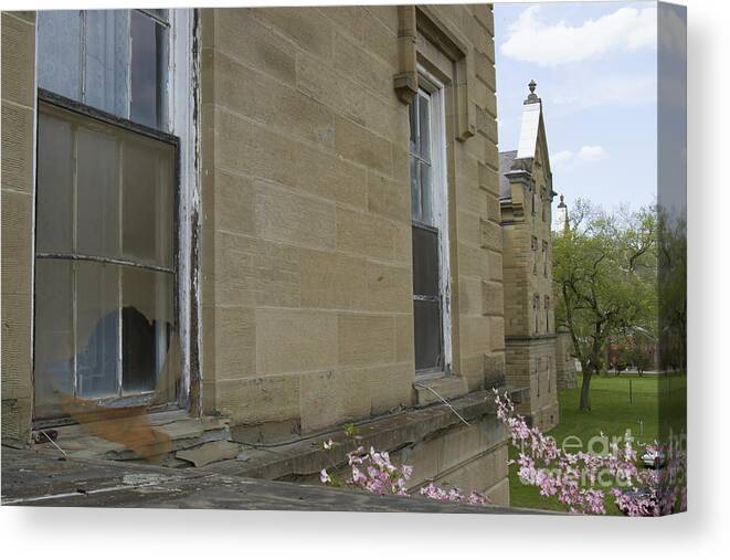 Decay Canvas Print featuring the photograph Urban decay and rebirth by Karen Foley