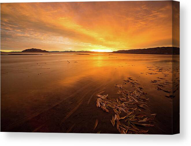 Utah Canvas Print featuring the photograph Utah Lake Sunset by Wesley Aston