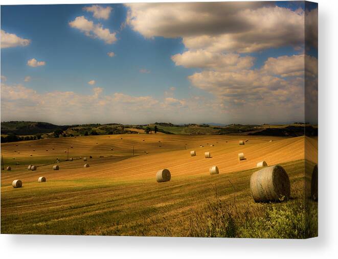 Tuscany Canvas Print featuring the photograph Val d'Orcia field with hay balls by Wolfgang Stocker