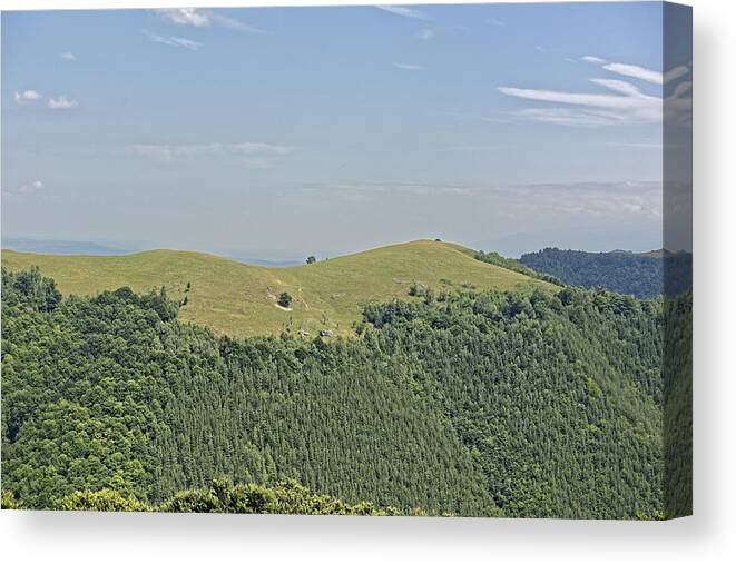 Active Canvas Print featuring the photograph Valari shepherds field by Adrian Bud