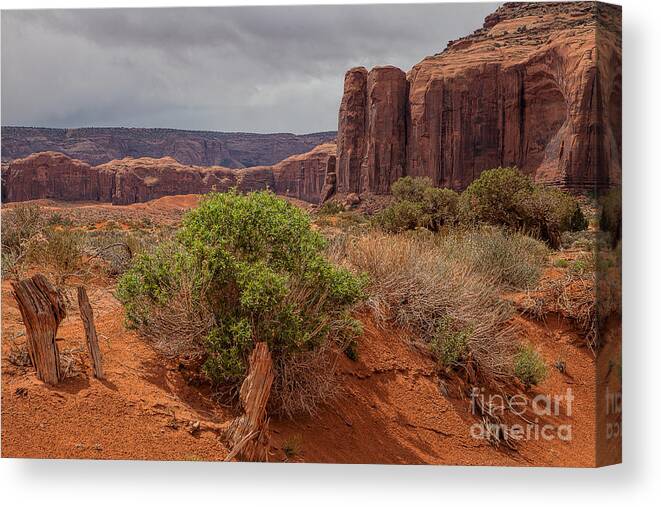 Monument Valley Print Canvas Print featuring the photograph Valley of God by Jim Garrison