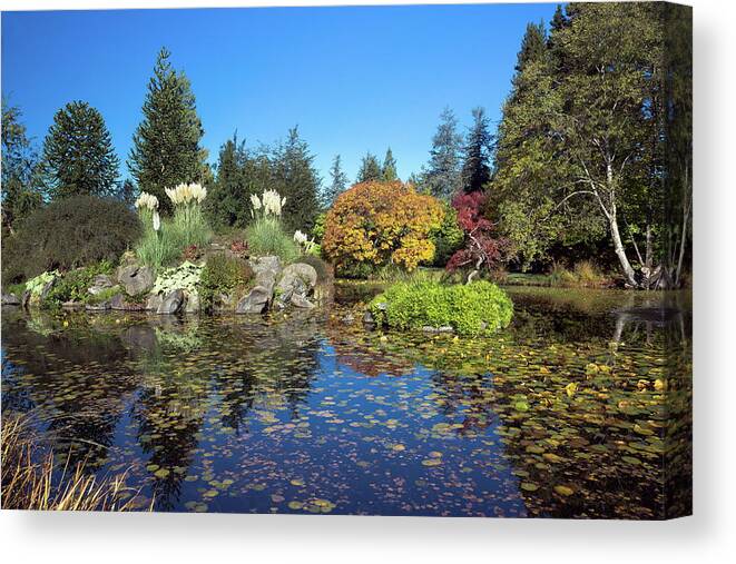 Alex Lyubar Canvas Print featuring the photograph Van Dusen Botanical Garden by Alex Lyubar