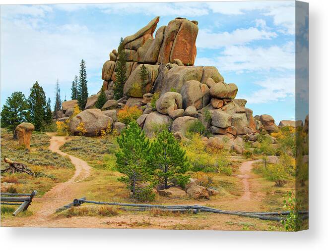 Wyoming Canvas Print featuring the photograph Vedauwoo by Nancy Dunivin