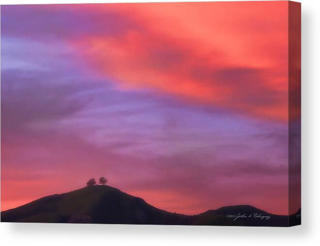 Two Trees Canvas Print featuring the photograph Ventura CA Two Trees at Sunset by John A Rodriguez