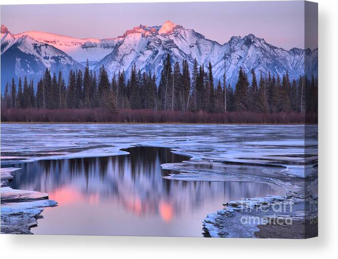 Vermilion Lakes Canvas Print featuring the photograph Vermilion Lakes Pink Reflections by Adam Jewell