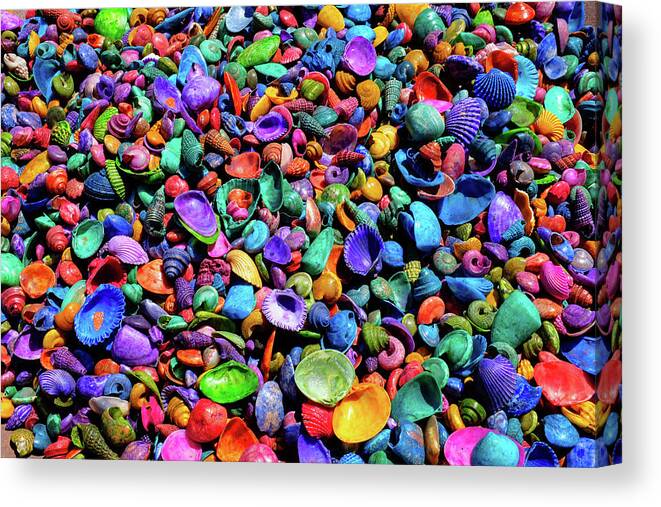 Seashells Canvas Print featuring the photograph Vibrant Colorful Carpet of Colored Seashells by Kathy Anselmo