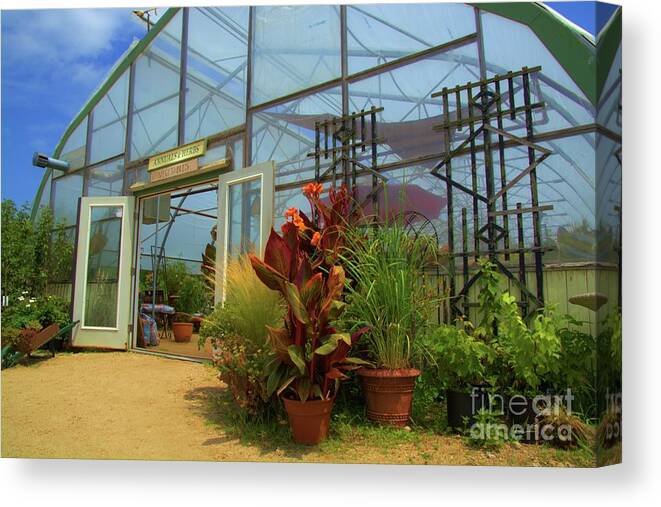 Greenhouse Canvas Print featuring the photograph Vibrant Greenhouse by Tammie Miller