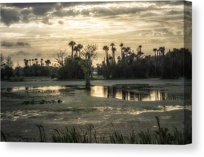 Crystal Yingling Canvas Print featuring the photograph Viera Storm by Ghostwinds Photography