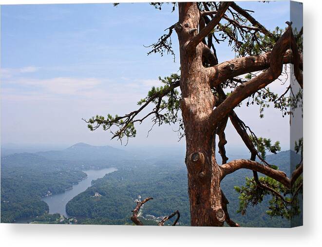 River Canvas Print featuring the photograph View Atop Chimney Rock by Ellen Tully