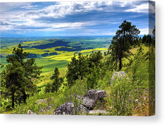 View From The Summit Canvas Print featuring the photograph View from the Summit by David Patterson