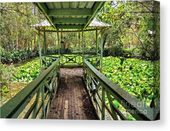 Lily Pads Canvas Print featuring the photograph View of Lily Pads from Gazebo by Kaye Menner by Kaye Menner