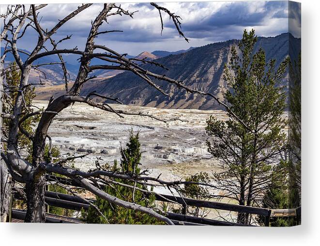 America Canvas Print featuring the photograph View of the travertine and mountains from the pathway at Mammoth Hot Springs by Roslyn Wilkins