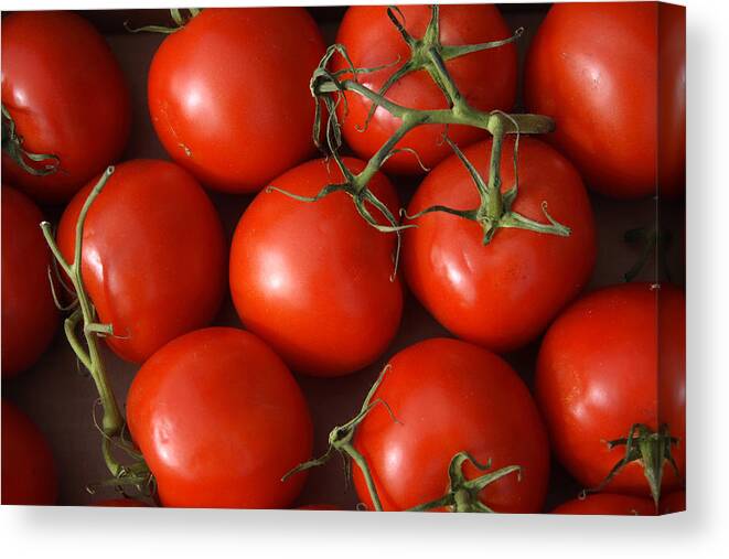Tomatoes Canvas Print featuring the photograph Vine Ripe Tomatoes Fine art Food Photography by James BO Insogna
