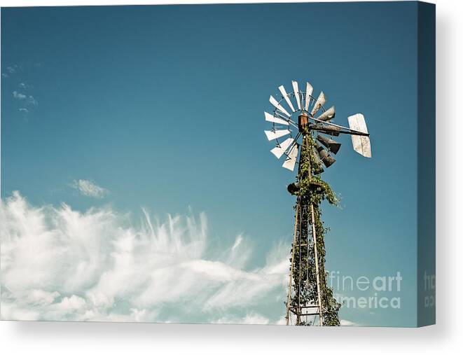 Canada Canvas Print featuring the photograph Vines Growing Up a Windmill in Canada by Bryan Mullennix