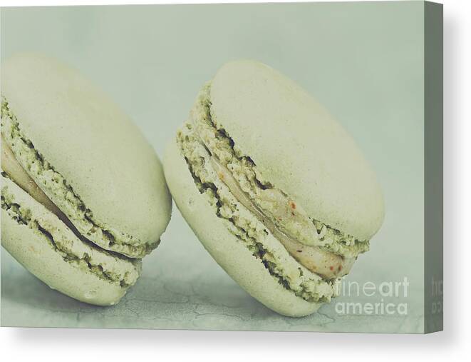 Macaron Canvas Print featuring the photograph Vintage Pistachio Macarons by Stephanie Frey