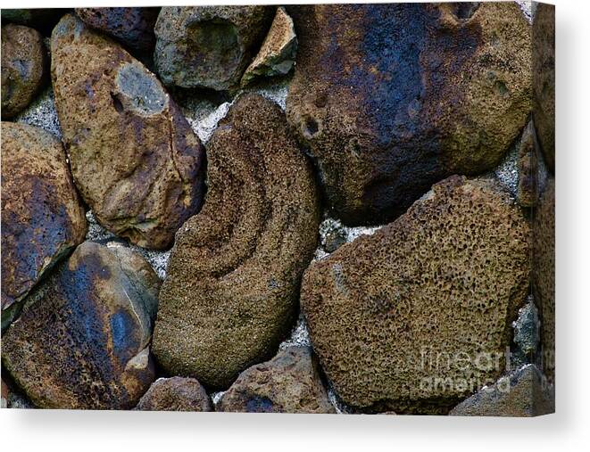 Rock Wall Canvas Print featuring the photograph Volcanic Rock Wall by Craig Wood