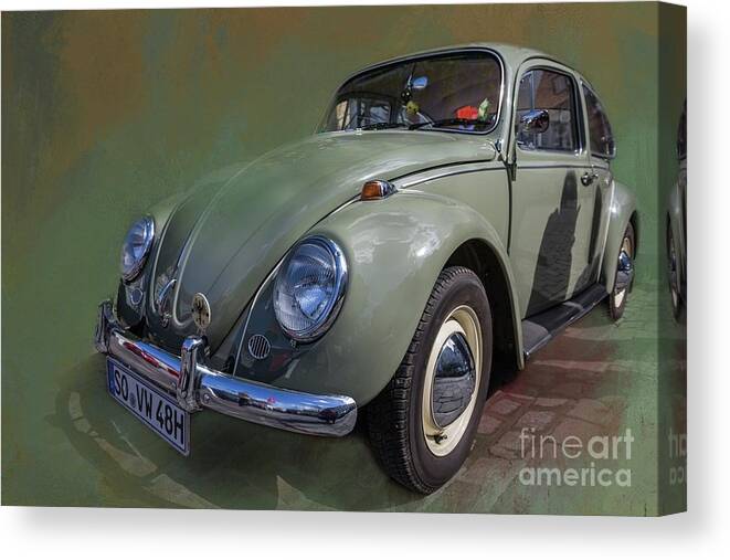 Volkswagen Canvas Print featuring the photograph VW Bug by Eva Lechner
