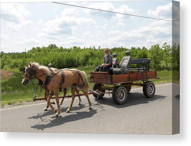 Mule Canvas Print featuring the photograph Wagon 10 by Dwight Cook
