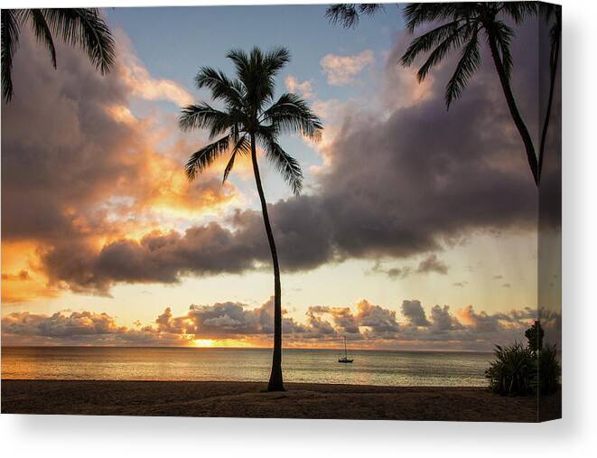 Waimea Beach Palm Tree Trees Sunset North Shore Oahu Hawaii Hi Seascape Canvas Print featuring the photograph Waimea Beach Sunset - Oahu Hawaii by Brian Harig