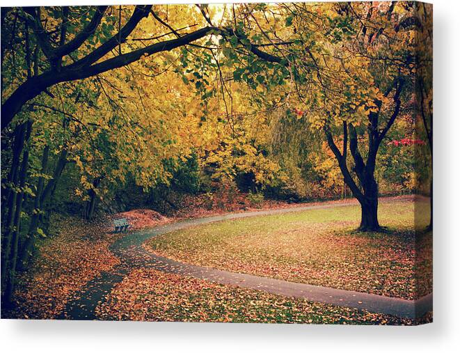 Nature Canvas Print featuring the photograph Waiting for Company by Jessica Jenney