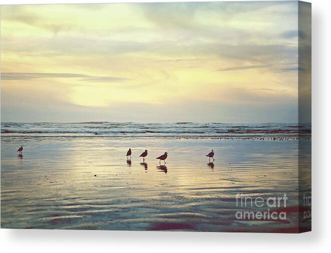 Photography Canvas Print featuring the photograph Waiting For Sunset by Sylvia Cook