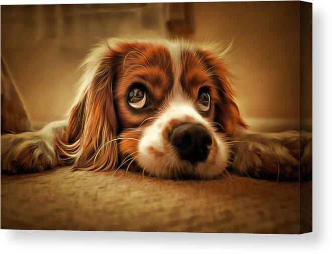 Oil Painting Canvas Print featuring the painting Waiting Pup by Harry Warrick