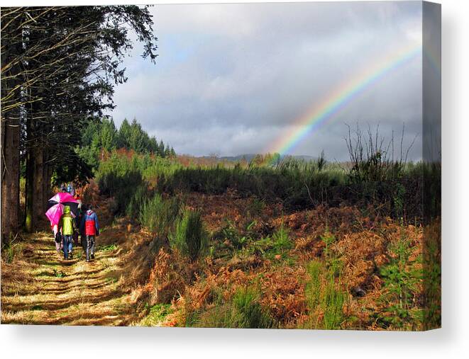 Limousin Canvas Print featuring the photograph Walkers with rainbow by Rod Jones