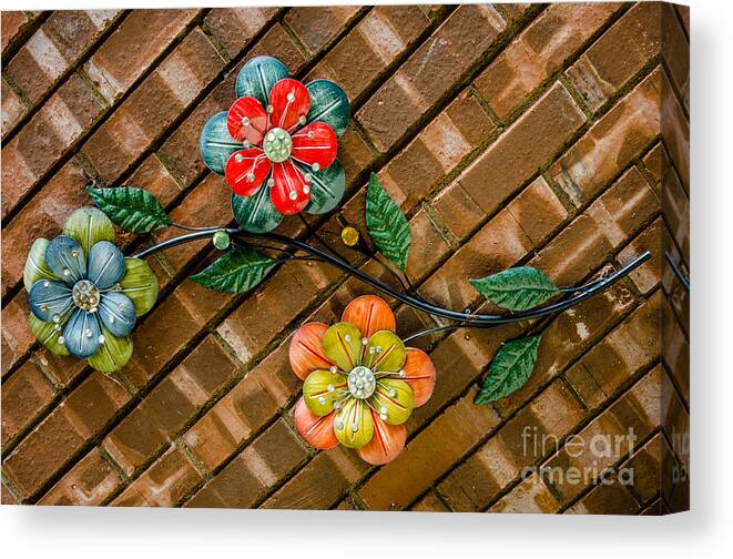 Wall Flowers Canvas Print featuring the photograph Wall Flowers by Debra Martz