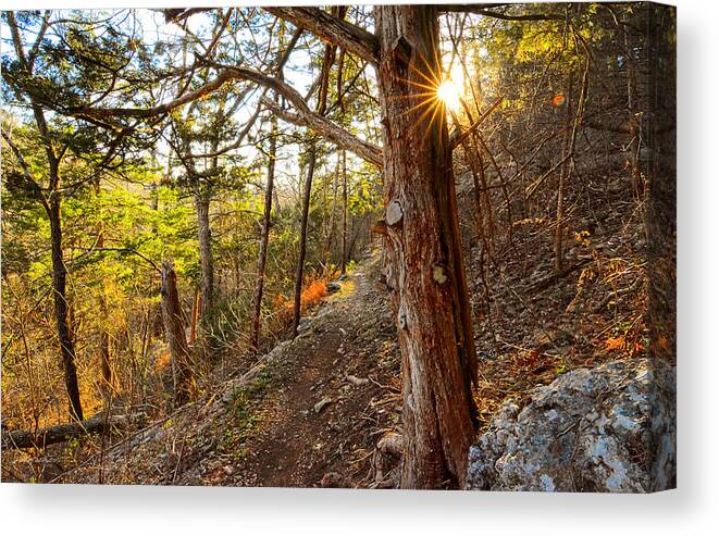 Blowing Springs Bella Vista Canvas Print featuring the painting Warmth of Comfort - Blowing Springs Trail in Bella Vista Arkansas by Lourry Legarde