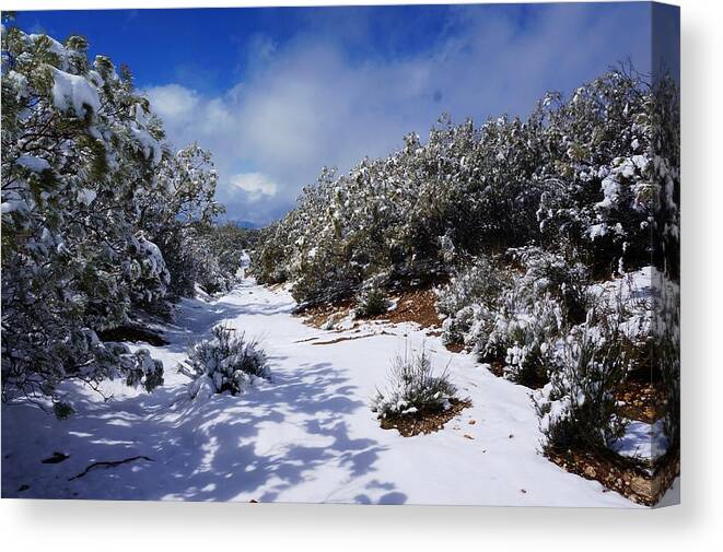 Warner Springs Canvas Print featuring the photograph Warner Springs Snow by Julia Ivanovna Willhite