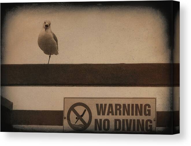 Africa Canvas Print featuring the photograph Warning No Diving 2 by Ernest Echols