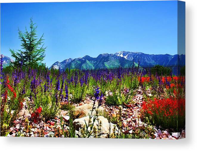 Wasatch Mountains Canvas Print featuring the photograph Wasatch Mountains In Spring by Tracie Schiebel