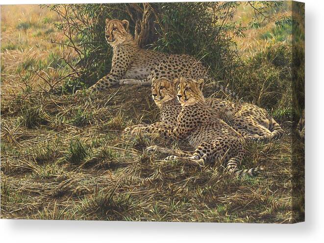 Cheetah Canvas Print featuring the painting Watching Mam by Alan M Hunt