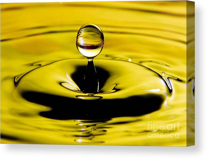 Water Drop Canvas Print featuring the photograph Water Drop by Matthew Trudeau