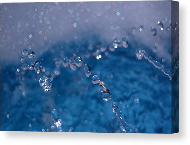 Water Drops Canvas Print featuring the photograph Water drops by Patty Vicknair