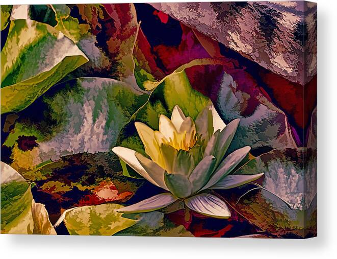 Recent Canvas Print featuring the photograph Water Lily In Living Color by Geraldine Scull