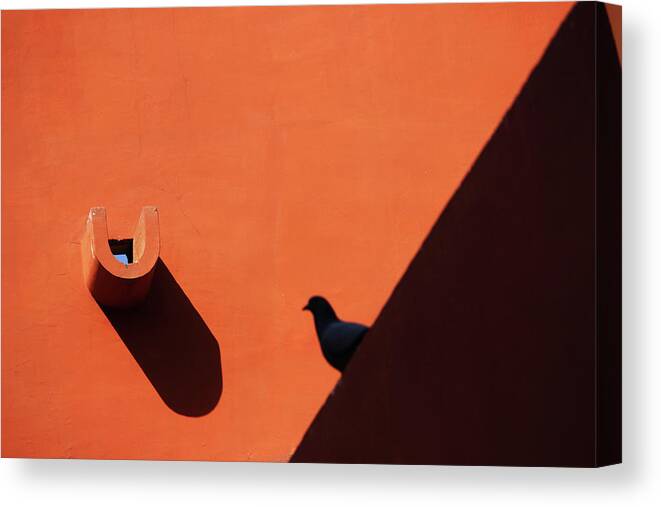 Shadow Photography Canvas Print featuring the photograph Water Outlet Vs The Pigeon by Prakash Ghai