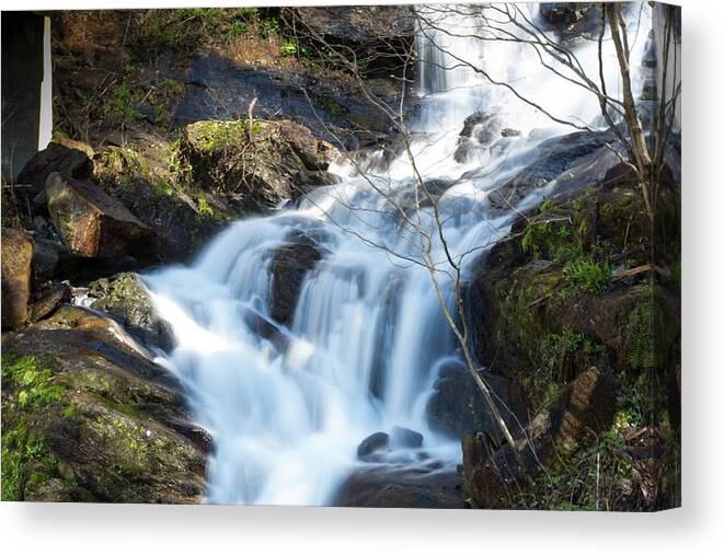 Waterfall Canvas Print featuring the photograph Waterfall by Lindsey Weimer