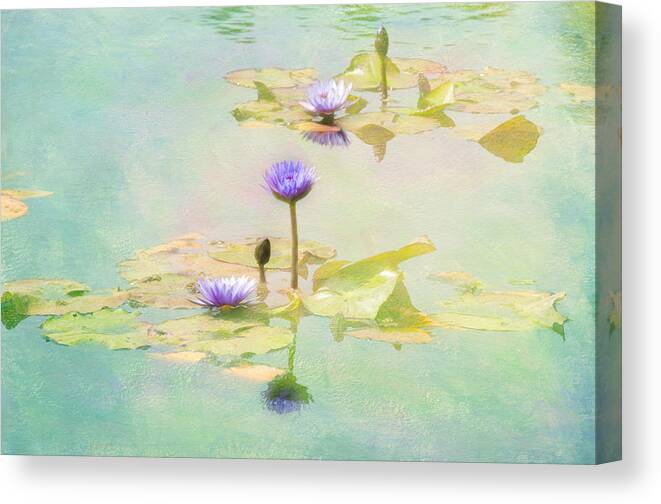 Flowers Fauna Water Textures Leaves Pads Canvas Print featuring the photograph Waterlillies by Carolyn D'Alessandro