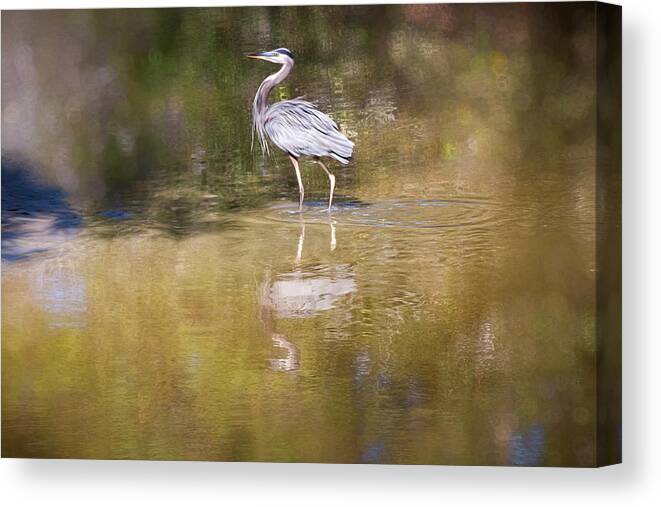 Heron Canvas Print featuring the photograph Watery World - by Julie Weber
